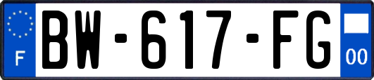 BW-617-FG