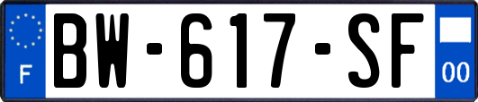 BW-617-SF