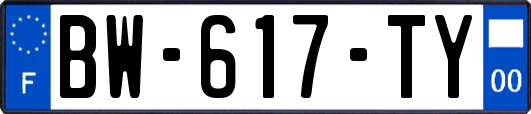 BW-617-TY