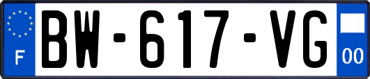 BW-617-VG
