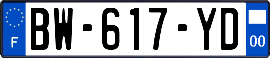 BW-617-YD