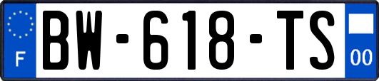 BW-618-TS