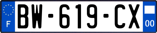 BW-619-CX