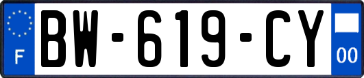 BW-619-CY