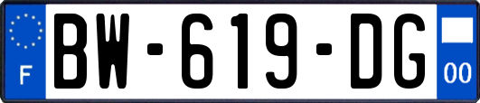 BW-619-DG