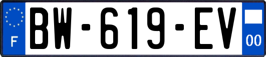 BW-619-EV