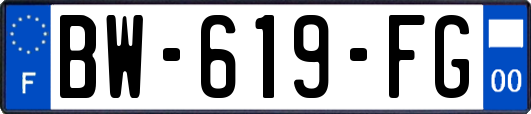 BW-619-FG