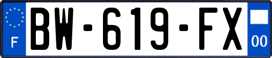 BW-619-FX