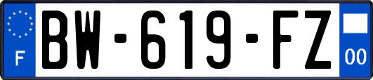 BW-619-FZ