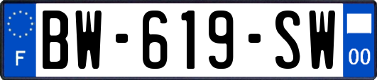 BW-619-SW