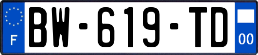 BW-619-TD
