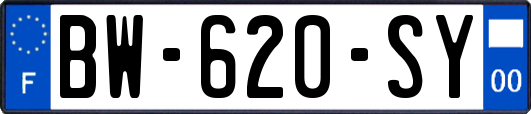 BW-620-SY