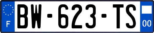 BW-623-TS