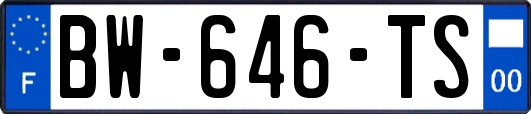 BW-646-TS