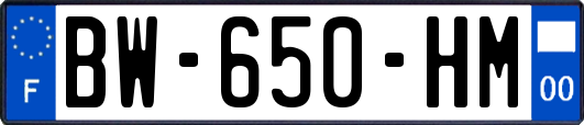 BW-650-HM