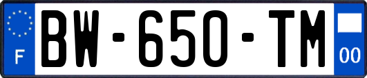 BW-650-TM