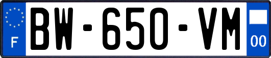 BW-650-VM