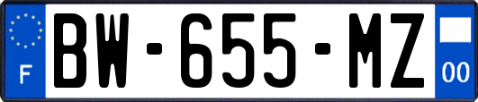 BW-655-MZ