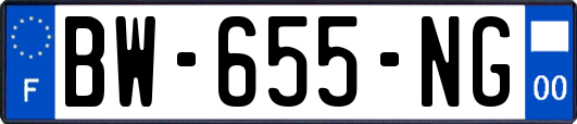 BW-655-NG
