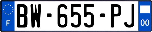 BW-655-PJ