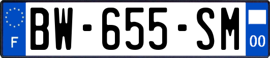 BW-655-SM