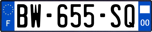 BW-655-SQ