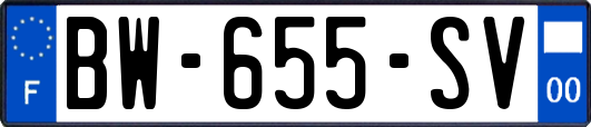 BW-655-SV