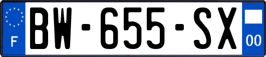 BW-655-SX