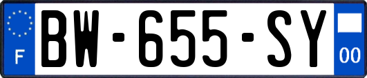 BW-655-SY