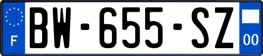 BW-655-SZ