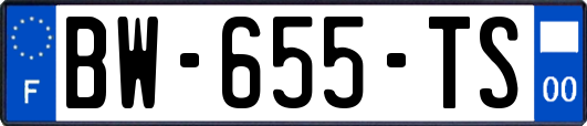 BW-655-TS