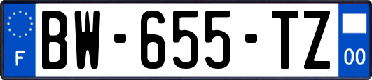 BW-655-TZ
