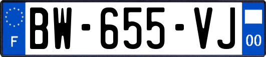 BW-655-VJ