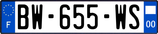BW-655-WS
