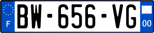 BW-656-VG