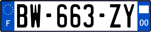 BW-663-ZY