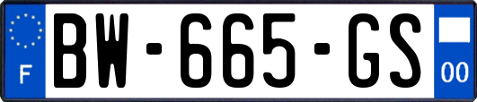 BW-665-GS