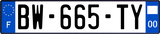 BW-665-TY