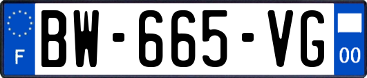 BW-665-VG