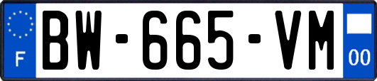 BW-665-VM