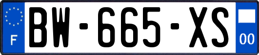 BW-665-XS