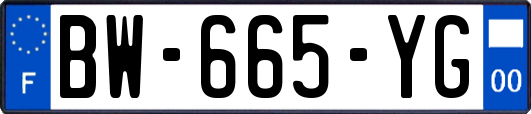 BW-665-YG