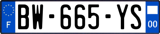 BW-665-YS