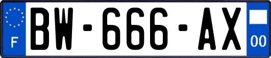 BW-666-AX