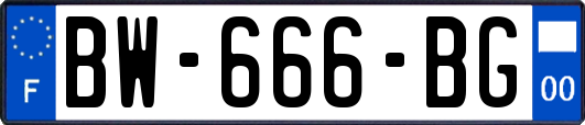BW-666-BG