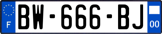 BW-666-BJ