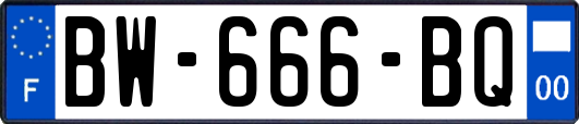 BW-666-BQ