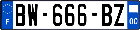 BW-666-BZ