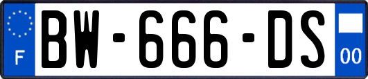 BW-666-DS