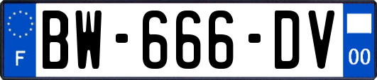 BW-666-DV